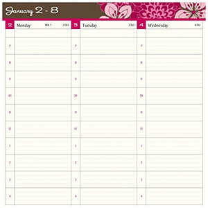 AT-A-GLANCE Weekly / Monthly Appointment Book / Planner 2017, Sorbet, 8-1/4 x 10-7/8" (794-905)