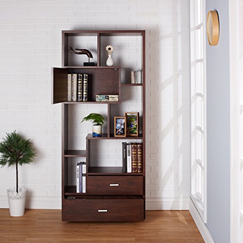 ioHOMES Pollock Modern Display Case with Drawers, Vintage Walnut