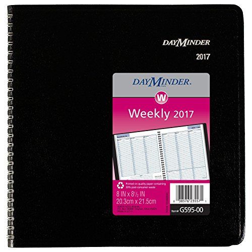 DayMinder Weekly Appointment Book / Planner 2017, 8 x 8-1/2", Wirebound, Black (G595-00)