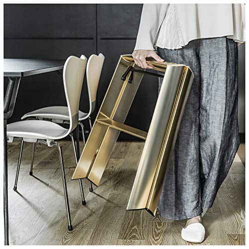 Hasegawa Lucano Step Stool Premium Edition 2 Step Gold
