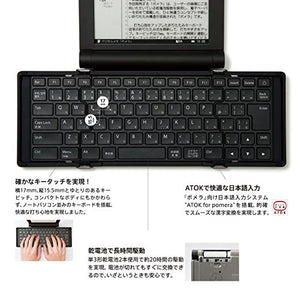KINGJIM digital memo Pomela Silva - DM30 Sil (Japan Domestic genuine products)