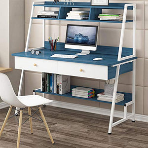 DIANAR Computer Desk with Storage Shelf Studying Writing Gaming Laptop Table Small Home Office Desks Desk Computer Desk with Drawers for Small Spaces Home Office Workstation