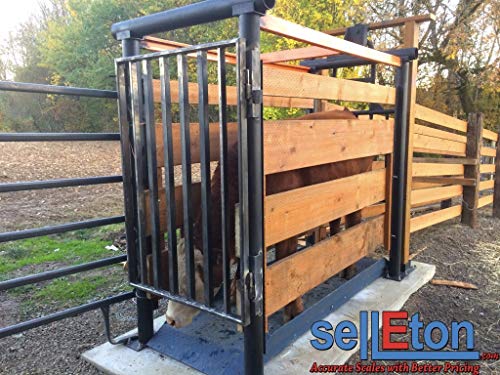 SellEton SL-929 Livestock & Cattle Alleyway Scale - Animal Weighing Equipment for Cows, Cattle, Horses, Goats, Sheep, Pigs - - 5000 lbs x 1 lb