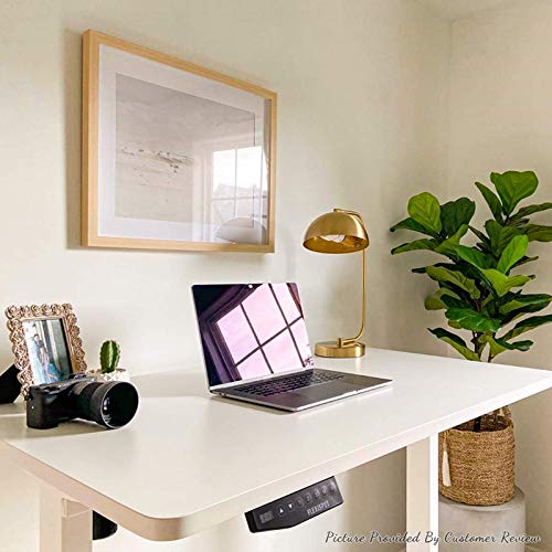 Flexispot EN1 Electric White Stand Up Desk Workstation with 48 x 30 Inches Whole-Piece Desktop Ergonomic Memory Controller Adjustable Height Standing Desk Primo(White Frame + 48" White Desktop)