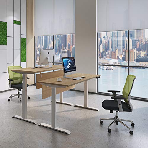 Sunon Electric Standing Desk Ergonomic Height Adjustable W/Dual Motor Stand UP Desk Frame Sit to Stand Desk Base for 47 to 71 inch Table Top (White)