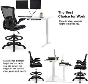 Home Office Chair Ergonomic Desk Chair Mesh Computer Chair Swivel Rolling Executive Task Chair with Lumbar, Chair with Rest Back Support (XL)