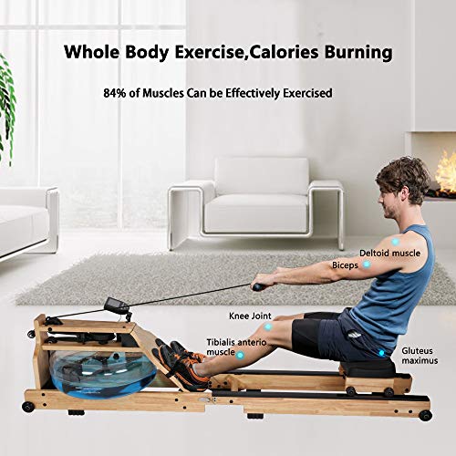 Vilobos Water Rowing Machine Heavy Duty Wooden Foldable Rower with Water Resistance Adjustable LCD Monitor for Calories Burned Sports Exercise Equipment in Home Gym
