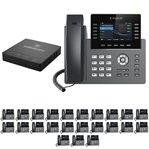 MM MISSION MACHINES S-100 Business Phone System: Platinum Pack - Auto Attendant/Voicemail, Wi-Fi, Cell & Remote Phone Extensions, Call Record - 24 Phone Bundle