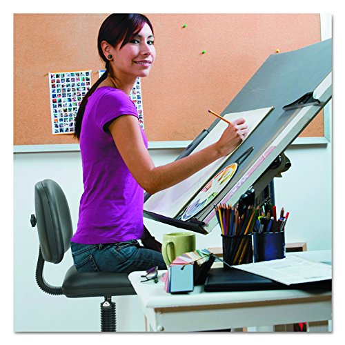 Safco Products 3406BL 3406BV Task Chair, Black Vinyl