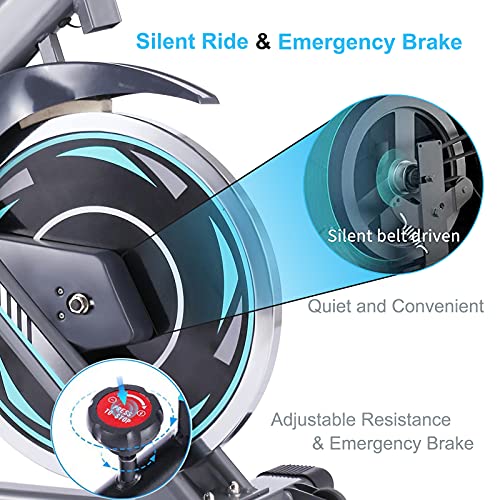 Exercise Bike, Stationary Bikes, Fitness Bike with Tablet Holder, LCD Monitor and Comfortable Seat Cushion, Quiet Indoor Cycling Bikes, 35lb Flywheel, 300lb Capacity