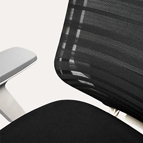 Branch Ergonomic Chair - Adjustable Lumbar Support, Breathable Mesh Backrest - Black