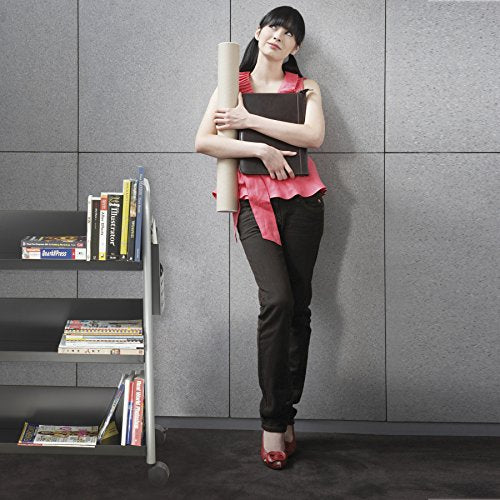 Safco Double-Sided Book Cart - 6 Slanted Shelves, Swivel Wheels, Steel Construction - 300 lb. Capacity - Black, 5335BL