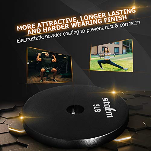 STOZM Premium Steel 1-inch Weight Plate - Set of 12 x 5lbs Weight Plates for Strength Training, Conditioning Workouts, Weightlifting, Powerlifting and Crossfit (Black) (EZ2X)