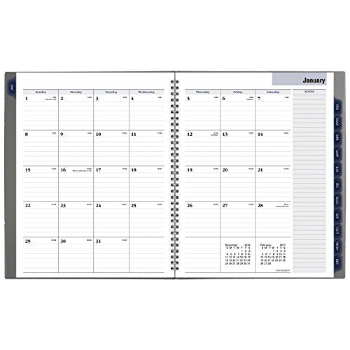 DayMinder Monthly Planner 2017, 8-1/2 x 11", Traditional, Color Selected For You May Vary (GC470-10)