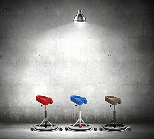Back App Ergonomic Chair