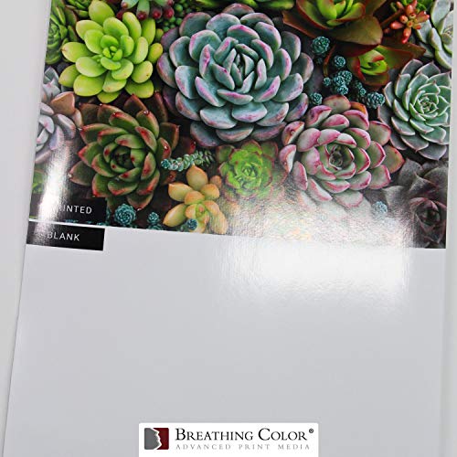 Photo Peel Glossy Printable Adhesive Vinyl Roll 44 inches x 60 feet Inkjet Peel and Stick Sticker Paper Works with All Inkjet Printers Including Professional Makes and Models