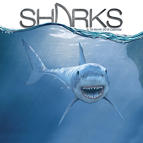 Sharks 2018 Calendar
