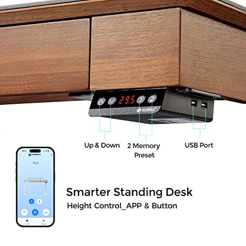 EUREKA ERGONOMIC Electric Standing Desk with Drawers, 55" Height Adjustable, Monitor Shelf, APP Control, Sintered Stone Desktop - Black/Walnut