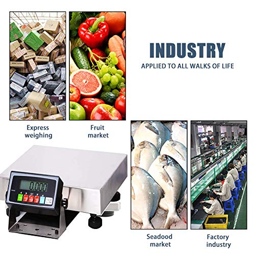 Digital Stainless Steel Platform Postal Shipping Scale 130lbs