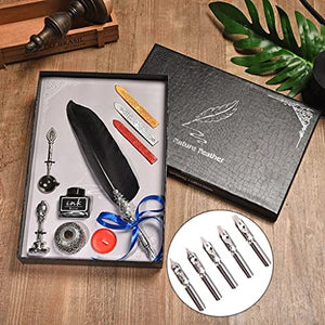 ZYKHD Calligraphy Feather Dip Pen Writing Ink Set Stationery Gift Box with Nib Wedding Feather Pen Metal Pen Set (Color : A)