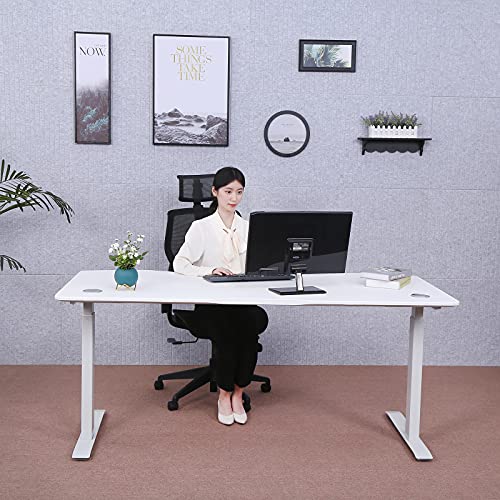 ApexDesk Elite Pro Series 60" Electric Height Adjustable Standing Desk - White Top, Off-White Frame