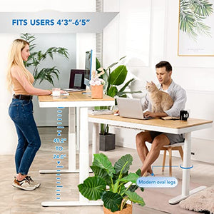 FLEXISPOT Electric Standing Desk with Wireless Charging & Drawer