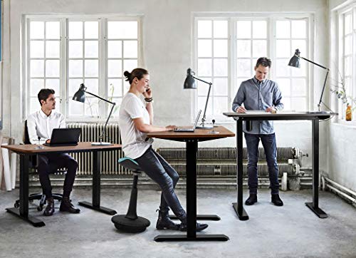 JUMMICO Electric Height Adjustable Standing Desk Office Computer Table Stand Up Home Workstation T-Shaped Metal Bracket with 44 x 24 Inches Wood Tabletop (Walnut)