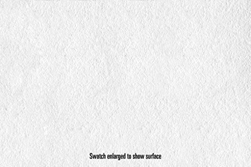 Canson Infinity Platine Fibre Rag Art Paper, 310 Gram , 24 Inch x 50 Foot Roll