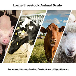 PEC SCALES Large Farm Animal Scale/Digital Livestock Weighing Equipment, 4000 lb Capacity (84x30)