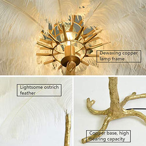 Generic Ostrich Feather Floor Lamp 1.6m Soft Light High Pole Lamp