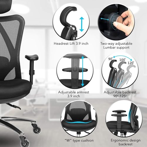 Duramont Ergonomic Office Chair with Lumbar Support, Rollerblade Wheels, and Mesh Design