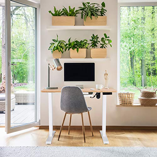 MONOMI Electric Height Adjustable Standing Desk, 48 x 24 inches Stand up Desk Workstation, Sit Stand Home Office Table with 4 Programmable Preset Controller (Oak Top/White Legs)