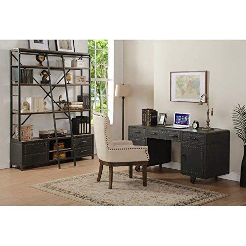 ACME Actaki Sandy Gray Bookshelf & Ladder