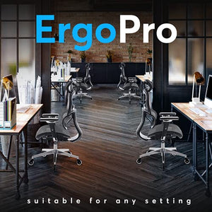 Oline ErgoPro Ergonomic Office Chair with 4D Armrest, 3D Lumbar Support, Blade Wheels - Black