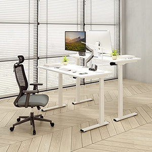 Flexispot Quick Install Standing Desk EC9 Electric Height Adjustable Desk for Home Office 48 x 24 Inches Whole-Piece Desk Board VICI(White Frame + 48" White Top)