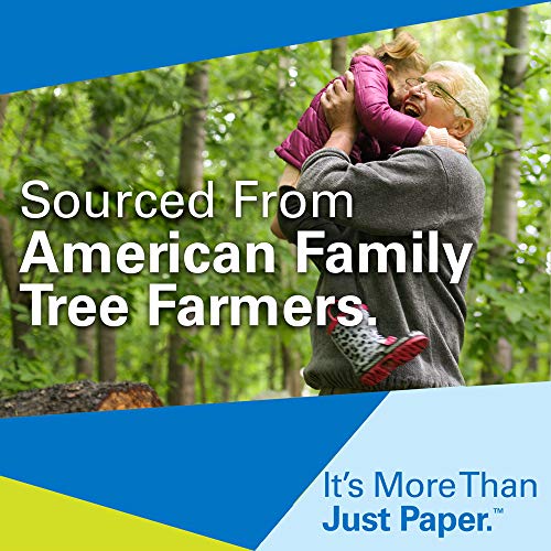 Hammermill Tidal 20lb Copy Paper, 8.5x11, 40 Case Pallet, 5,000 Sheets/Case, 200,000 Sheets, Made in USA, Sustainably Sourced From American Family Tree Farms, Acid Free, Multi-purpose Paper, 162008P
