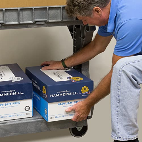 Akro-Mils ProCart Heavy Duty 2 Tier Rolling Utility Cart, 400 lb Capacity, Gray