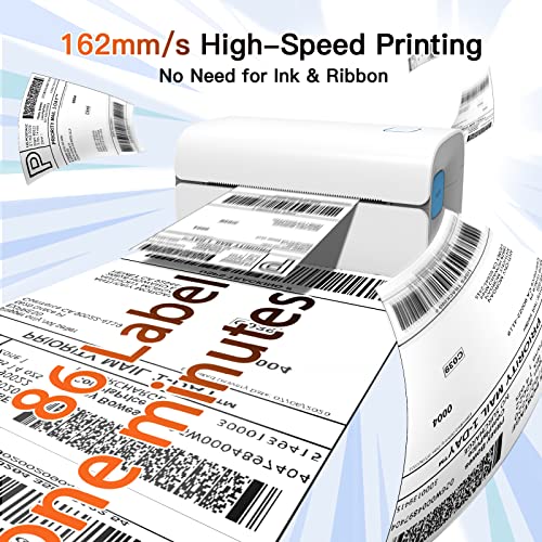 Jiose Label Printer + Thermal Labels 1000pcs