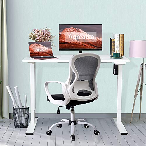 Agreatca Electric Standing Desk, Height Adjustable 48 x 24 Inch Memory Sit Stand Desk Home Office Workstation Stand up Desk with Splice Board, White Frame/White Top