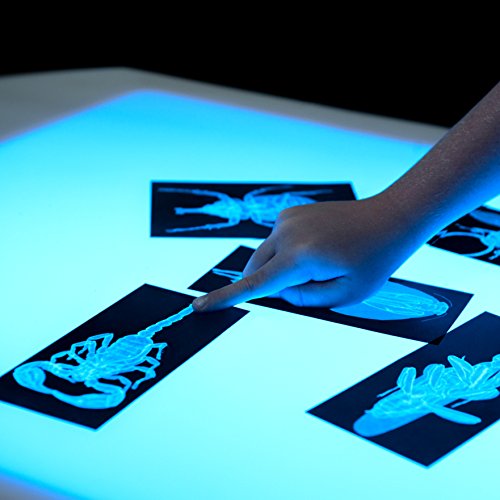 Contender 30" Brilliant Light Table Without Storage-RTA