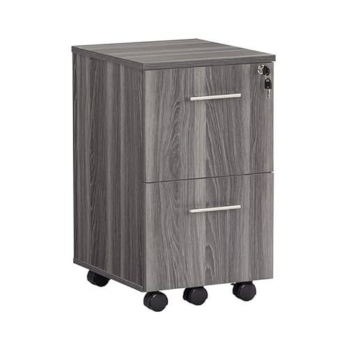 Scranton & Co 2-Drawer Locking Rolling File Cabinet with Wheels, Grey