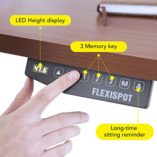 Flexispot EN1 Primo Electric Standing Desk Adjustable Height Desk for Home Office Computer Workstation, Whole Piece Walnut Desktop with Gray Leg, 48x30INCH