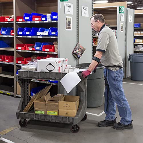 Akro-Mils ProCart Heavy Duty 2 Tier Rolling Utility Cart, 400 lb Capacity, Gray