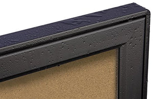 Black Aluminum Enclosed Corkboard Displays (18) 8-1/2 x 11-Inch Pages, Locking Swing-Open Style Door, with Rubber Gasket for Indoor Or Outdoor Use