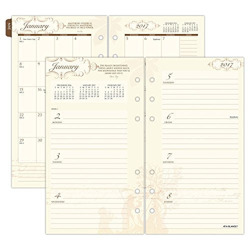 Day Runner Weekly / Monthly Planner Refill 2017, 3-3/4 x 6-3/4", Size 3, Poetica (3042-100)