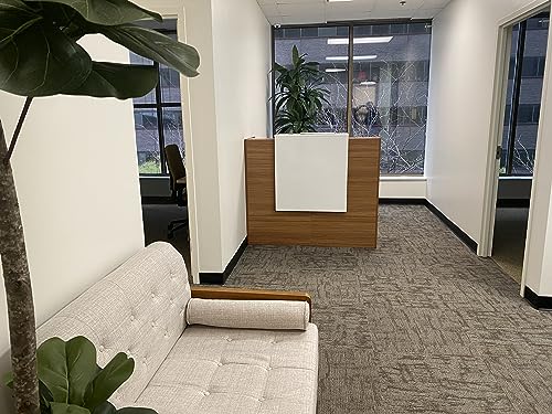 UGOS Modern Reception Desk 53" with Transaction Countertop - Teak and White