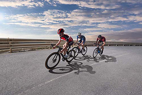 Garmin Edge 530 (2019 Version) Cycle GPS Bundle with Silicone Case & HD Tempered Glass Screen Protectors (x2) | Navigation, Bike Mounts, TrainingPeaks, VO2, Incident Detection | Bike Computer (Blue)