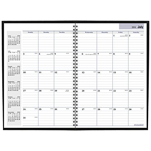 DayMinder Academic Year Monthly Planner, July 2016 - August 2017, 7-7/8"x11-7/8", Black (AY200)