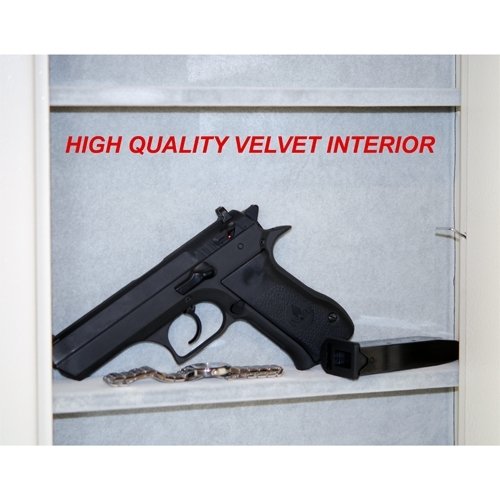 Protex Safe Fingerprint Wall Safe (FW-1814Z)