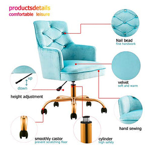 XIZZI Cute Desk Chair,Computer Chair, Adjustable Swivel Home Office Chair, Office Chair with Wheels and Arms (Blue)